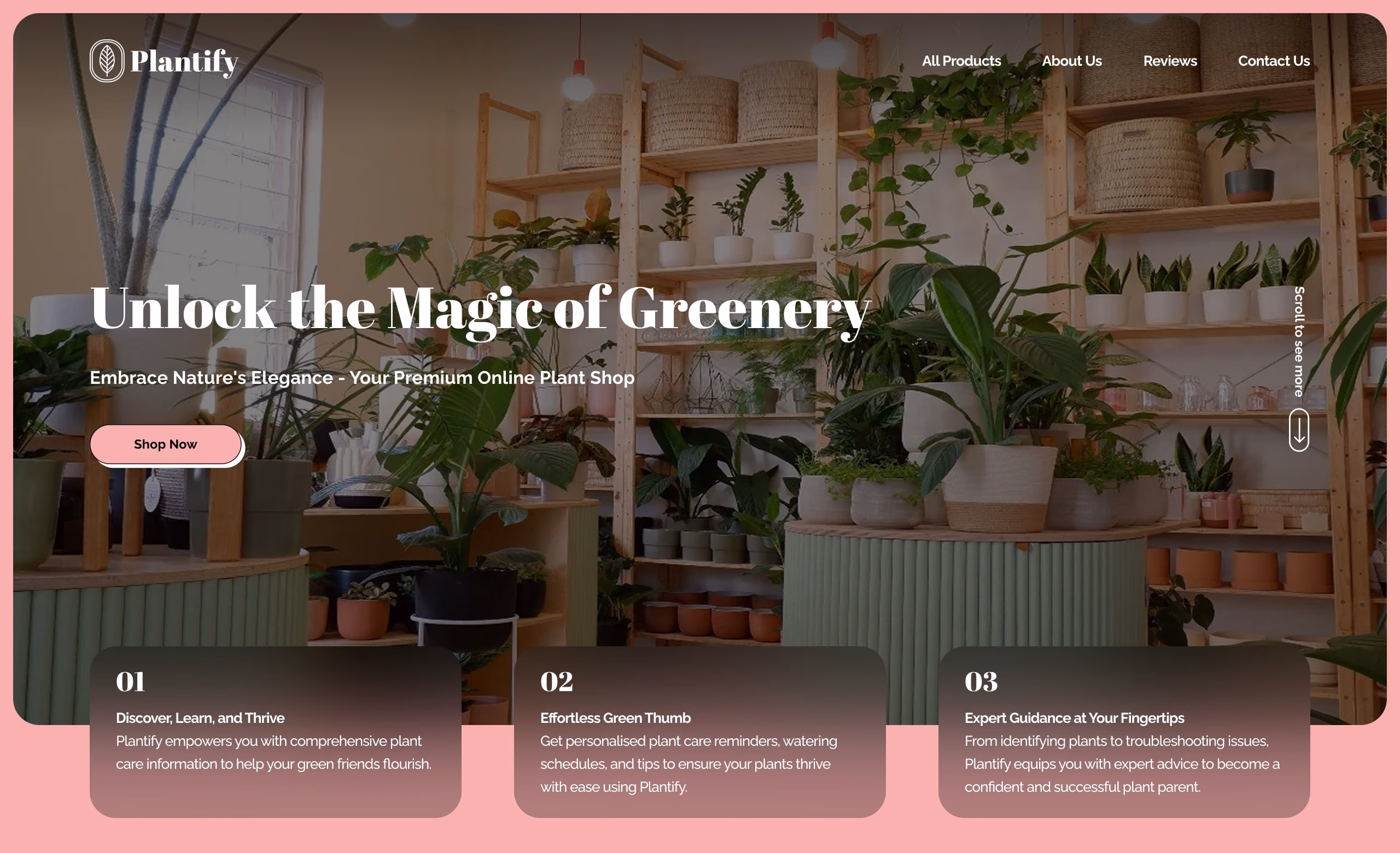 PLANTIFY design presentation 10