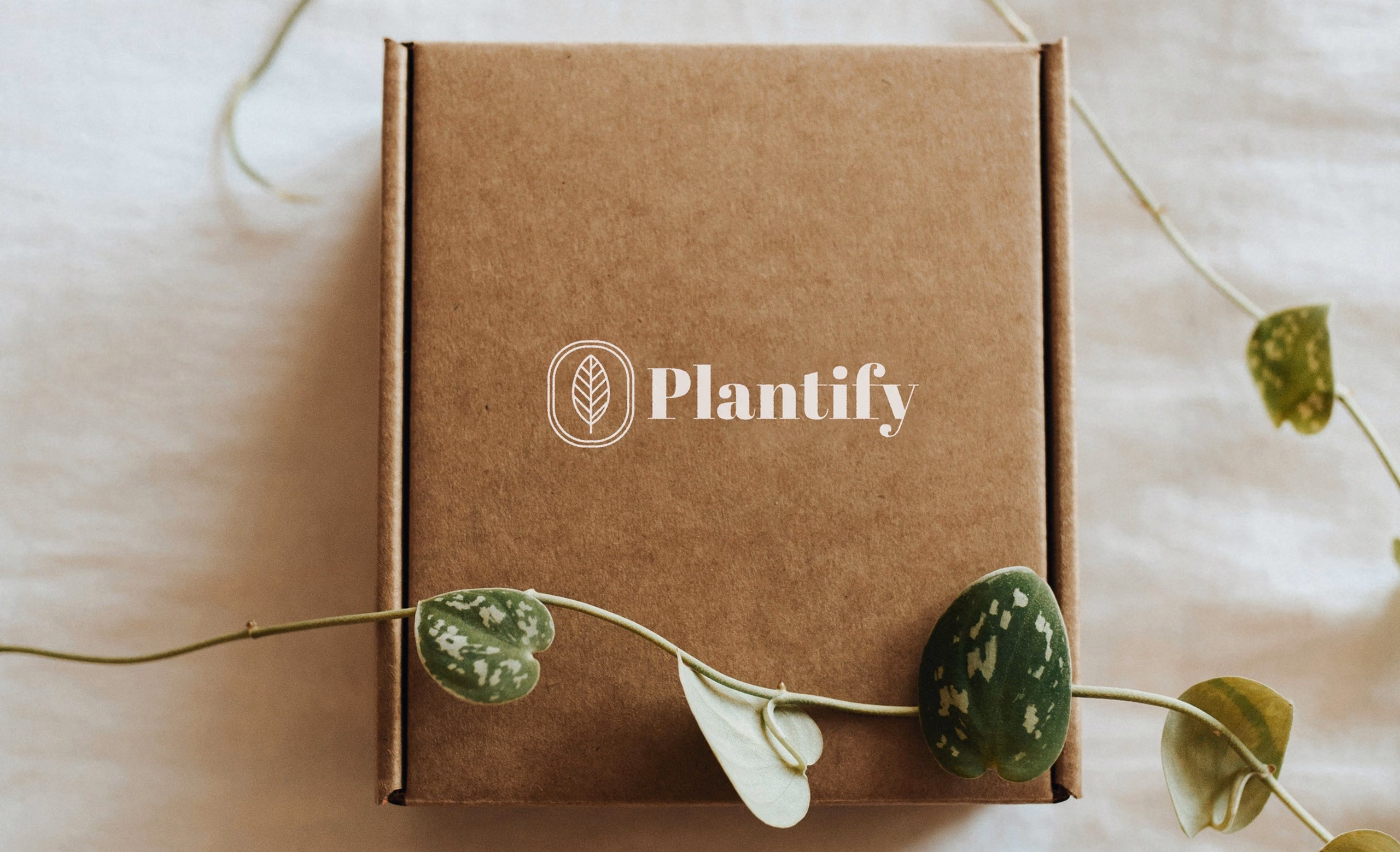 PLANTIFY design presentation 14
